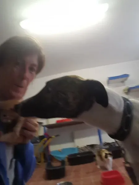 13835598 10208813714793754 2103322106 o