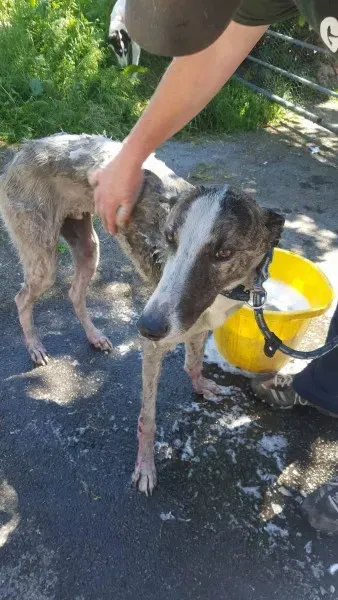 13835677 10208813406426045 538000749 o