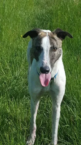 13835762 10208813408906107 2110928743 o