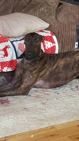 13835909 10208813596310792 175173048 o