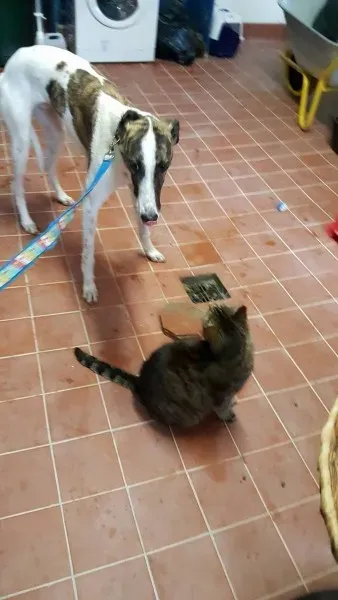 13838050 10208813717193814 1925387695 o