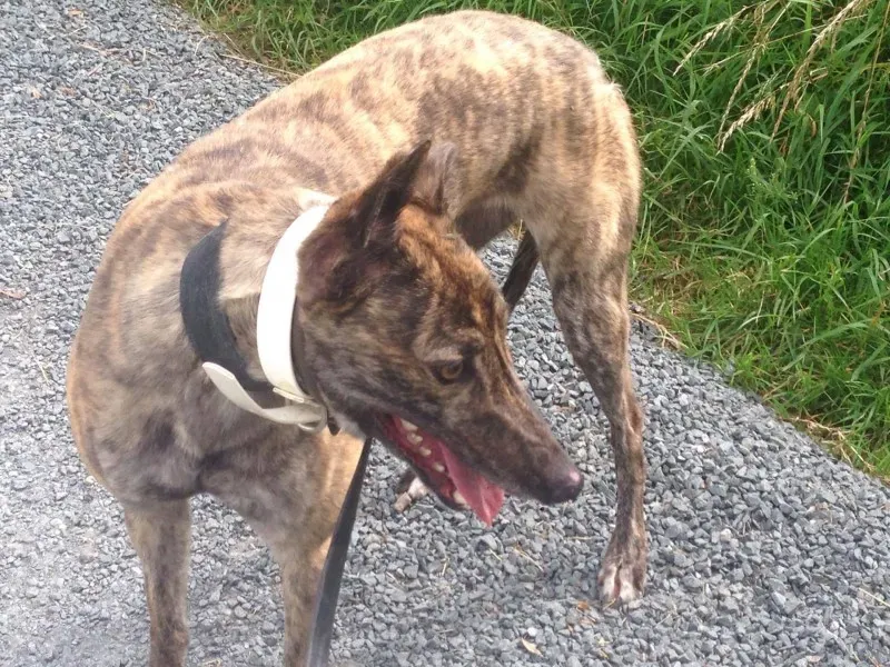 13838083 1049680078449598 1741877608 o