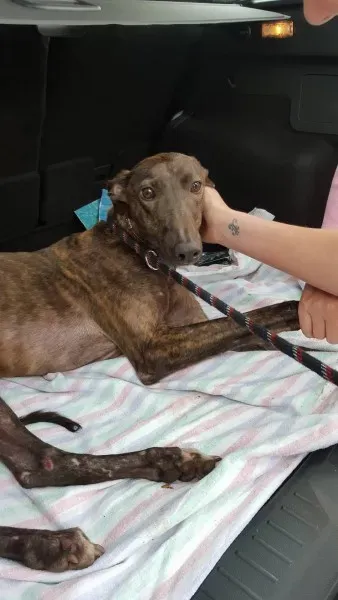 13838158 10208813587950583 402052293 o