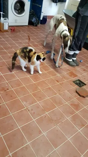 13838176 10208813714713752 1116550123 o