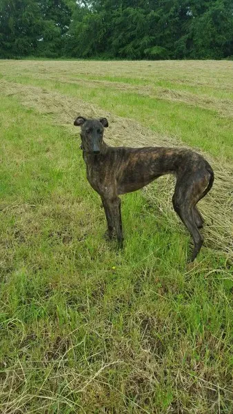 13838291 10208813590110637 857201189 o