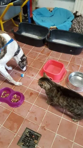 13838383 10208813717473821 2014218055 o