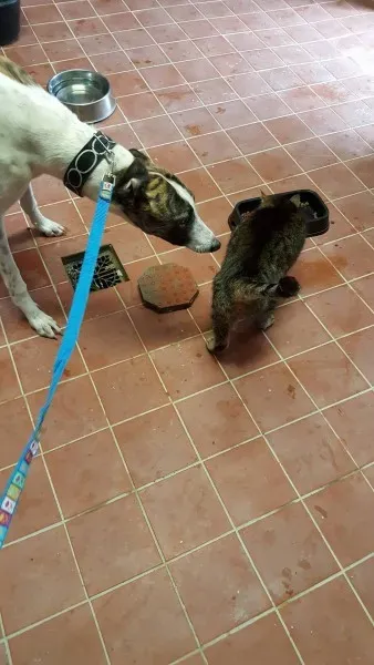 13838387 10208813716033785 518132236 o