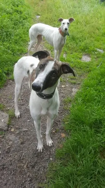 13838401 10208813409066111 581570238 o