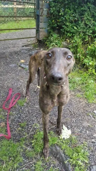 13838402 10208813595790779 832613282 o