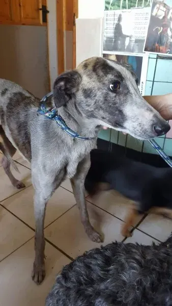 13838516 10208813406186039 713504580 o