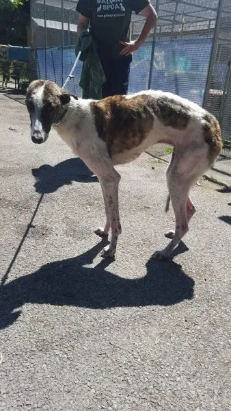 13838571 10208813406506047 1742654374 o