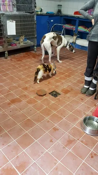 13839736 10208813716833805 1688641558 o