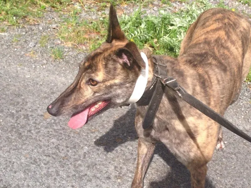 13839770 1049680011782938 821760682 o