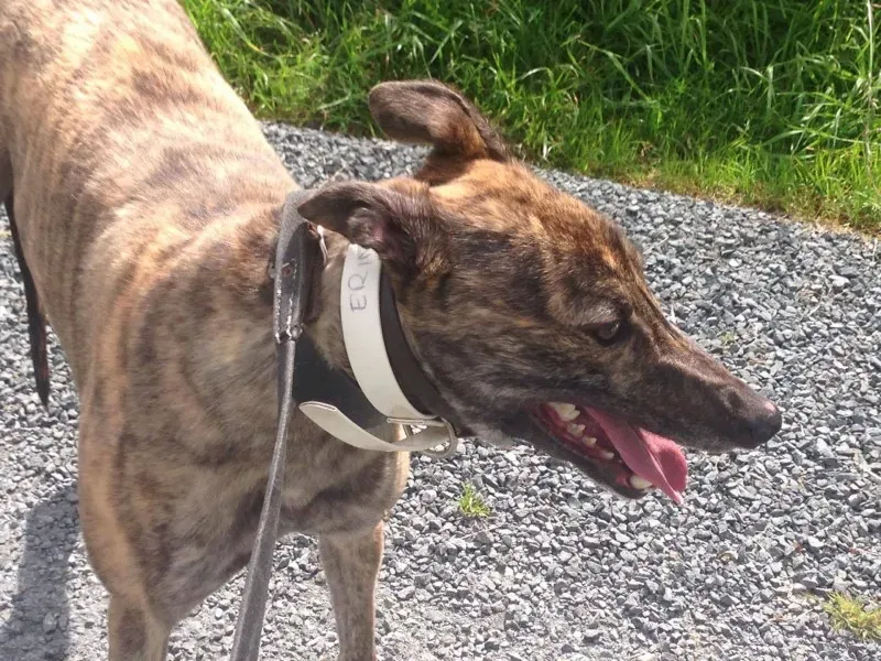 13839841 1049680058449600 313458524 o