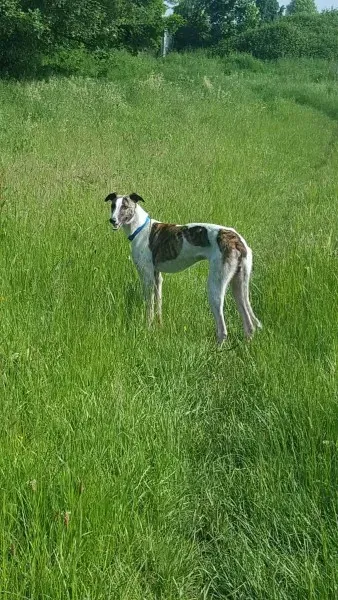 13839843 10208813408706102 660506472 o