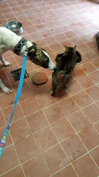 13839852 10208813715513772 908613023 o