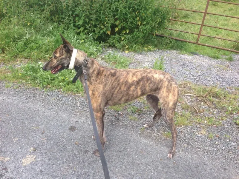 13839967 1049681931782746 906903264 o