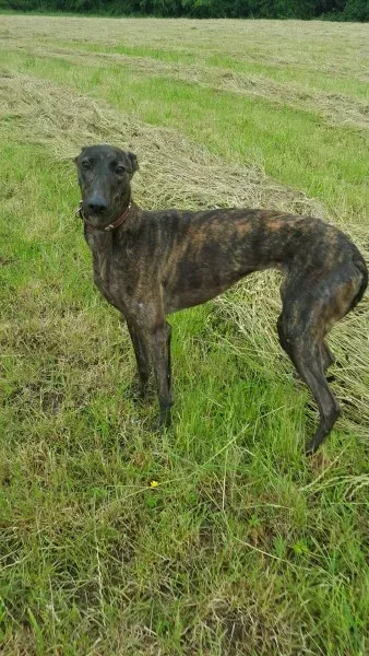 13840500 10208813591710677 1473067603 o