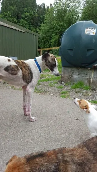 13840536 10208813408986109 1686673900 o