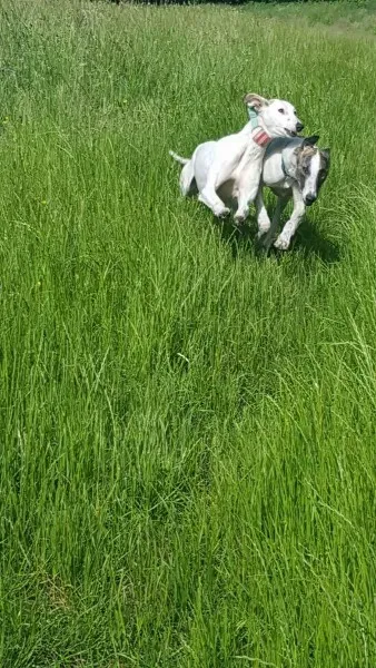 13840613 10208813439266866 1123267594 o