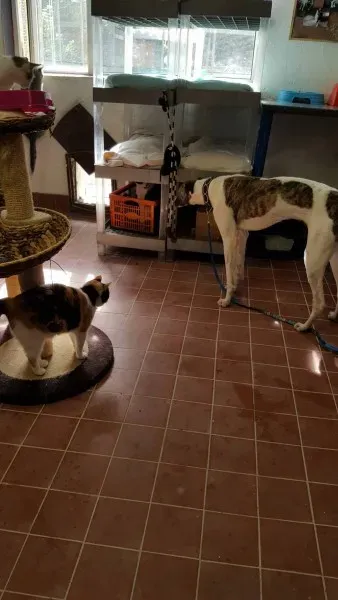 13843456 10208813715273766 677581553 o