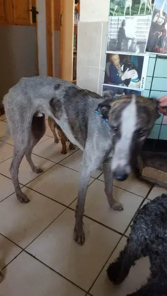 13843564 10208813405626025 324452050 o