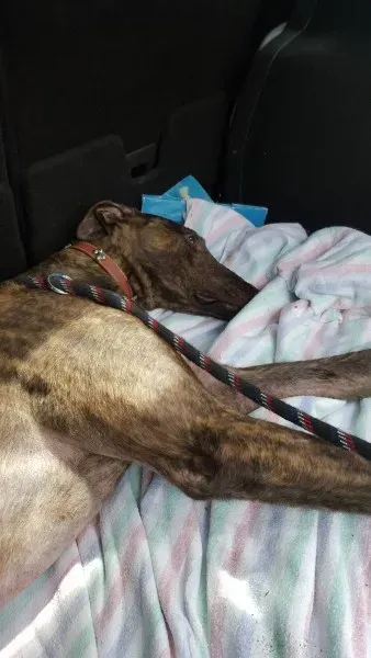 13844136 10208813582470446 775356833 o