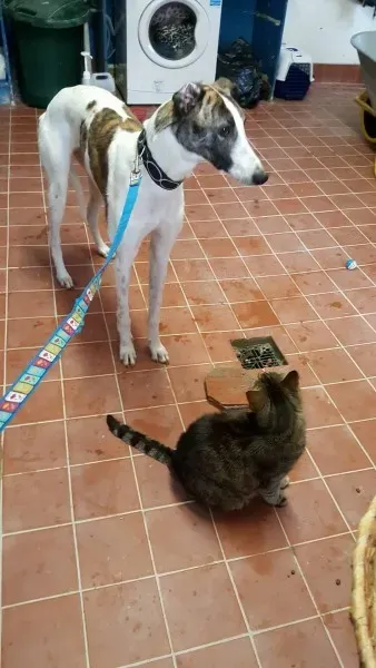 13844310 10208813716153788 1523169428 o