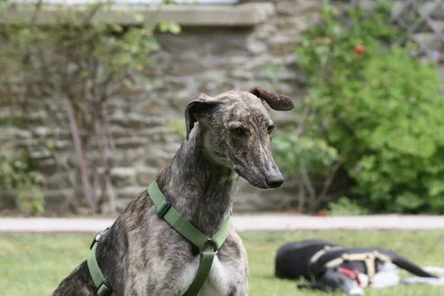 1385142 4721804342726 937423046 n