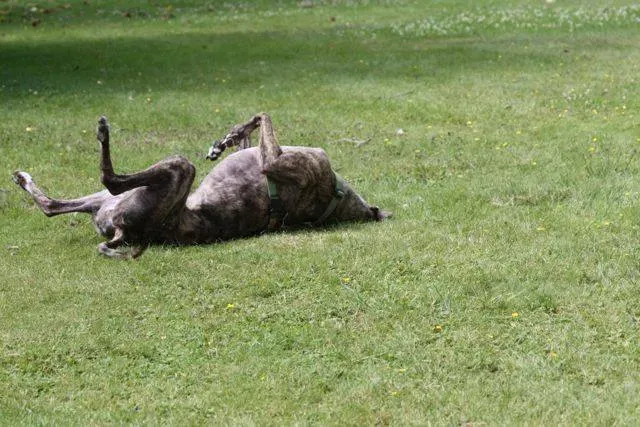 1385577 4721800822638 1267408223 n