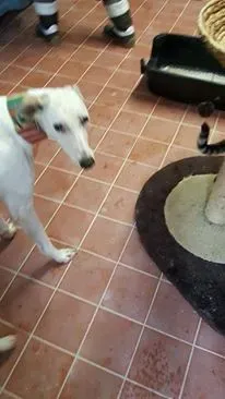 13875000 10208813719153863 27343970 n