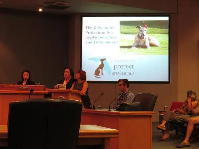 13880327 10153809365833354 3312673484791973748 n