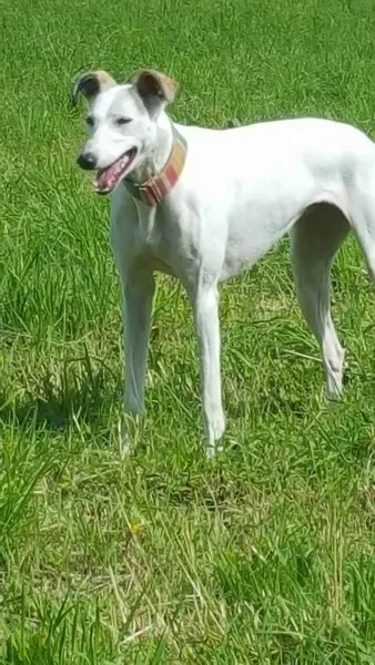 13902154 10208894844421944 136981265 o