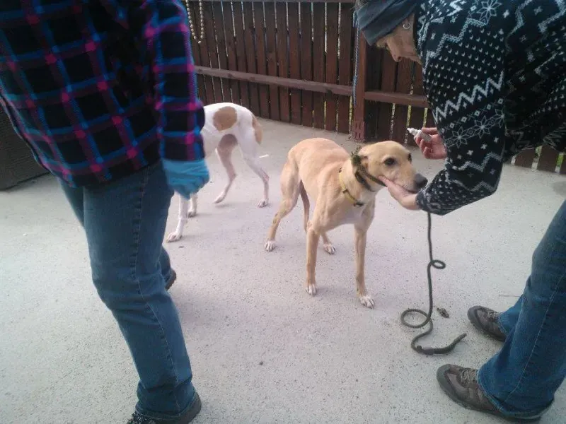 1390643 734752696608588 5813346180088413640 n