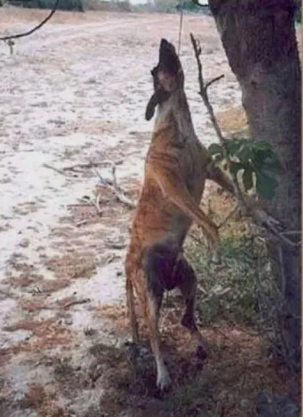 1391580 10152278733736343 361587007 n1