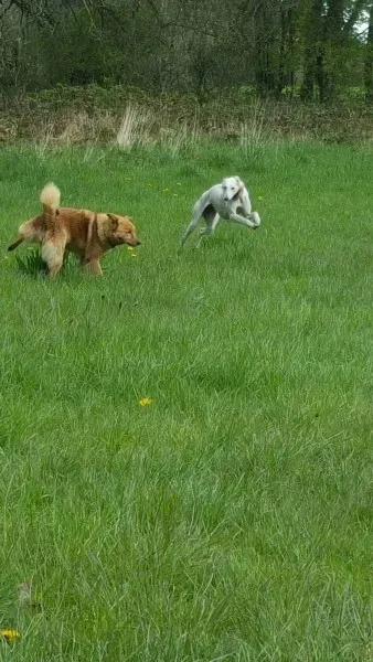 13918393 10208894791860630 1833119736 o