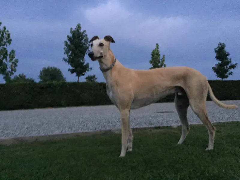 13918492 638367792986604 1969810663 o