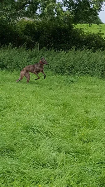 13918581 10208899123568920 560616257 o 2