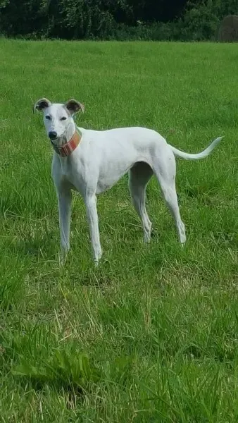 13918648 10208894842501896 1699550501 o