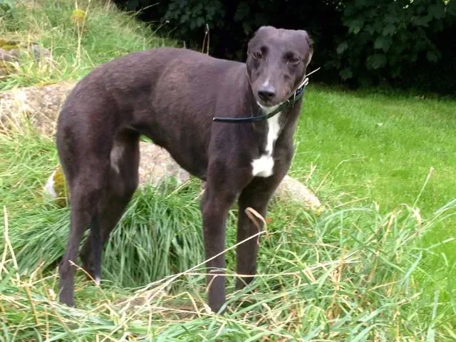 13918765 10210284045047182 1586500345 o