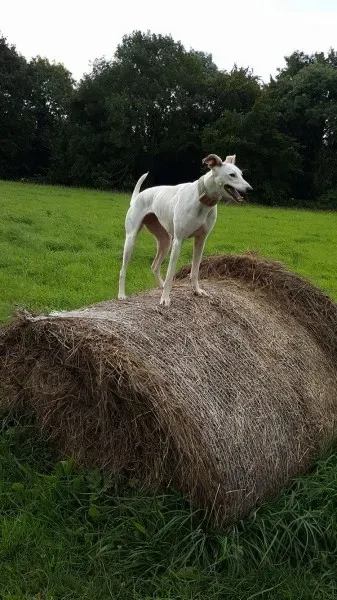 13918787 10208898516673748 10462642 o