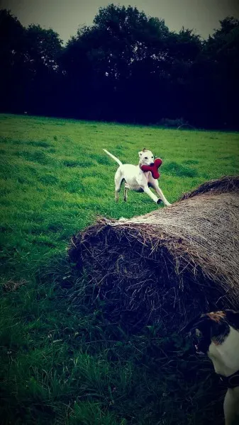 13918788 10208898514793701 1509950476 o