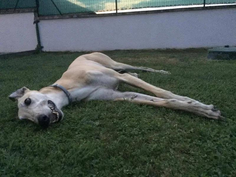 13918826 638367809653269 413890314 o