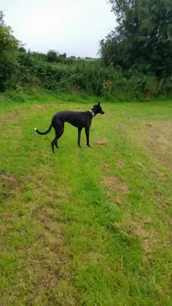 13918981 10210244972870402 1611460850 o