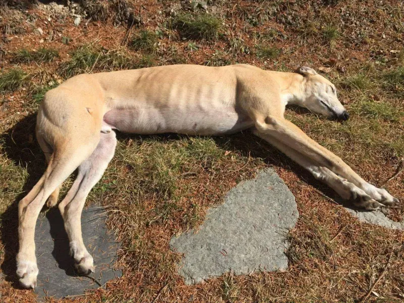 13918987 637956519694398 843910057 o