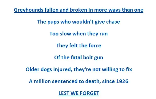 13920804 1064604916980976 7724127506270906087 n