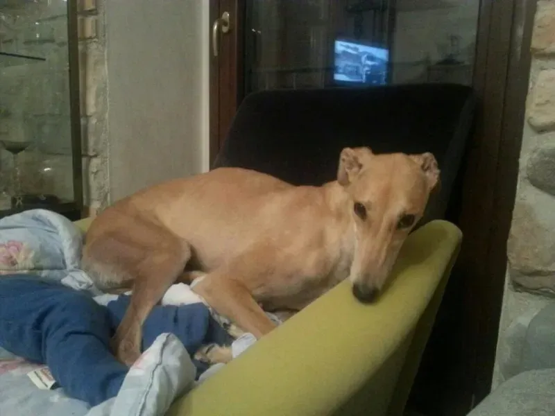 13924 677745612309297 7838267839377937762 n