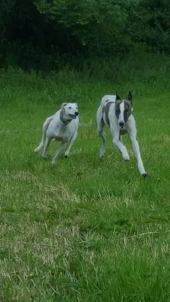 13931584 10208894843941932 1652480357 o