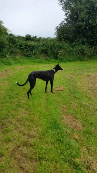 13931604 10210244975510468 1381882684 o