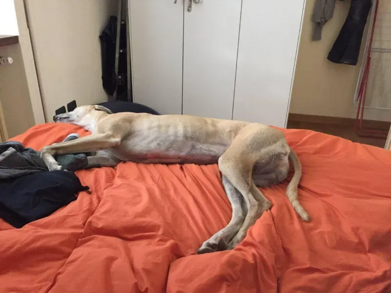 13931715 637956506361066 925592644 o